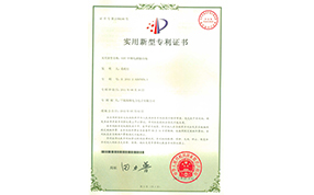 同时通过ISO9001-2000国际质量体系认证