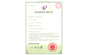 本公司拥有多项具有国内外竟争力的专利技术